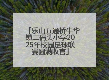 乐山五通桥牛华镇二码头小学2025年校园足球联赛圆满收官